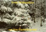 Weihnachtsmotiv1