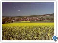 pict0265
